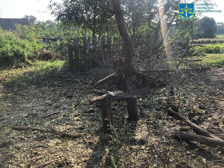 Ruscists fired at Svarkove in Sumy regioin at night, 82-year-old woman was killed 03