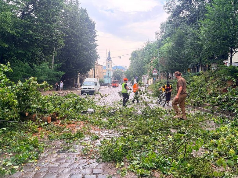 Гроза у Львові 29 червня: повалені дерева та зірвані дахи
