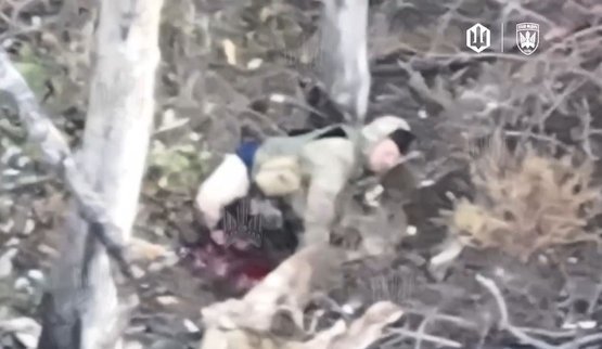 Оператори дронів Птахи Мадяра уразили окупанта ударним дроном на Покровському напрямку
