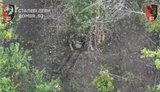 Ukrainian military detected and eliminated Russian troop positions along with manpower