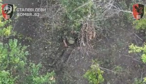 Оккупанты бежали в кусты - их догнали и уничтожили ударные дроны "Сталевих левів". ВИДЕО