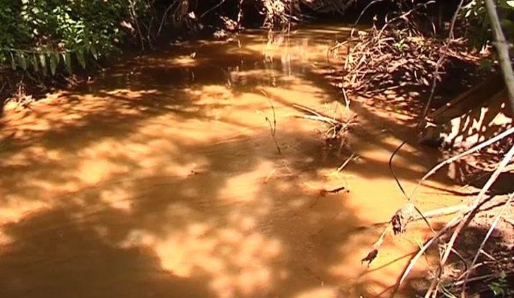 На Донбассе появилась оранжевая река: рыба мертва, вода отравлена, она впадает в водохранилище. ФОТО+ВИДЕО