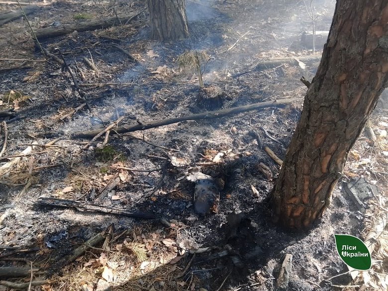Three forest districts of the Capital Forest Office were affected by a drone and rocket attack