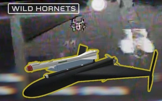 Екіпаж "Сапсан" дроном-перехоплювачем STING збив російський "Шахед" із ракетою Р-60. ВIДЕО