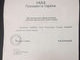 СОЖЖЕННЫЕ РАПОРТА...