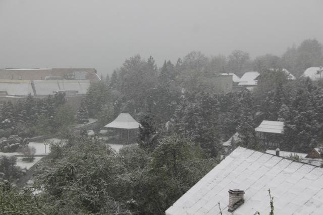 львов снег