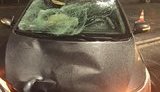 В Киеве на улице Цветаевой автомобиль насмерть сбил пешехода, - Нацполиция. ФОТО