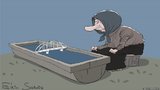 А дальше что?