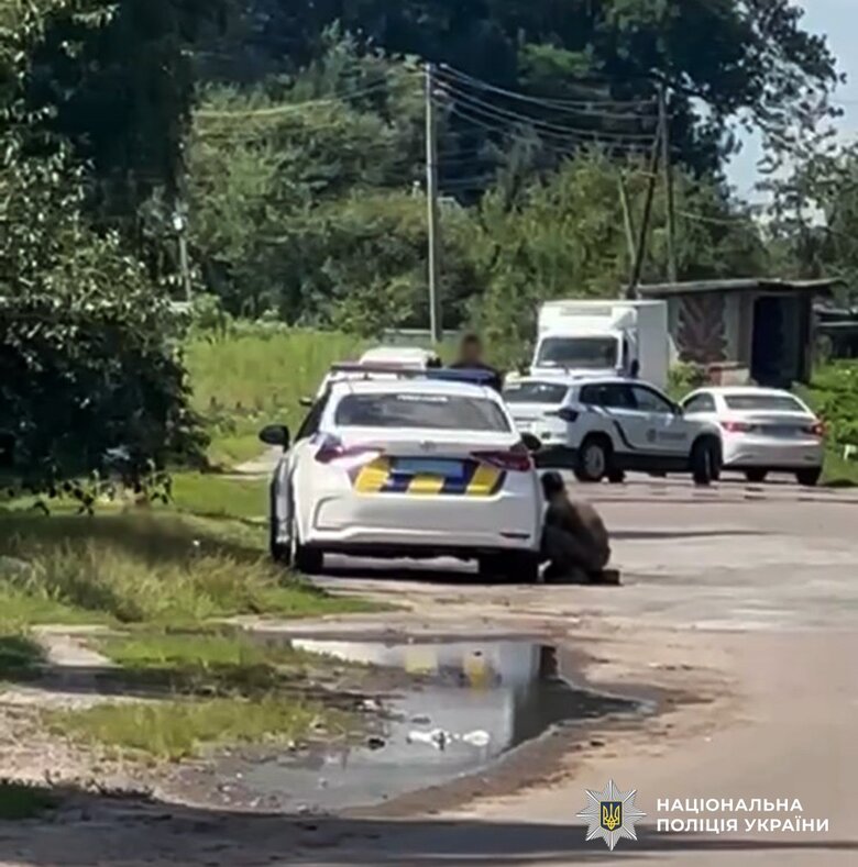 На Житомирщині п’яний чоловік з гранатою погрожував поліції