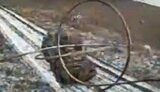 drone destroys armoured vehicles