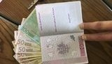 сбу паспорт фальшивка