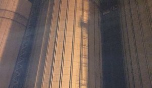 У ДФС запобігли спробі незаконного експорту партії кукурудзи вартістю майже 30 млн грн через фіктивне підприємство. ФОТОрепортаж