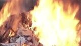 Правоохранители на Полтавщине сожгли 110 кг наркотиков. ВИДЕО