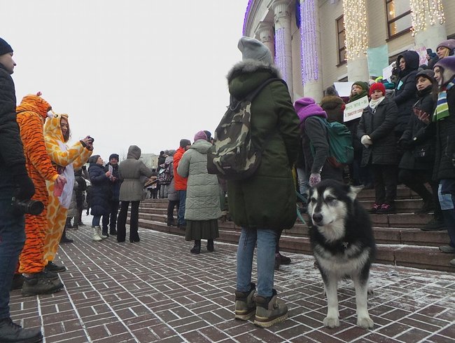 Страждання - це НЕ смішно! У Києві протестували проти використання тварин у цирку 09