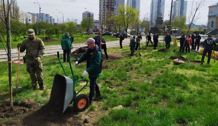 Ціни відрізняються в рази: Хто заробляє на озелененні Києва