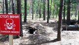 міни
