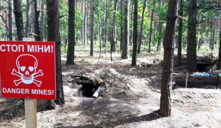 Кабмін створив бюджетний "Центр гуманітарного розмінування"