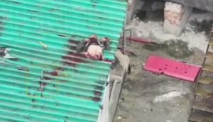 Верхняя часть оккупанта залетела на крышу сарайчика после удара дрона, лежит там и дергается. ВИДЕО 18+