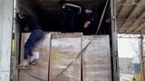 В фуре, прибывшей в порт Черноморска, прятались три незаконных мигранта, - Госпогранслужба. ВИДЕО