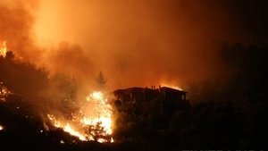 Масштабные пожары в Греции: количество погибших возросло до 50 человек (обновлено)