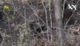 Бойцы 60 ОМБр уничтожили более семи оккупантов