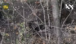 Бойцы 60 ОМБр уничтожили более семи оккупантов