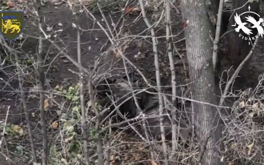 Rusija in Ukrajina poročata o spopadih in izgubah na obeh straneh