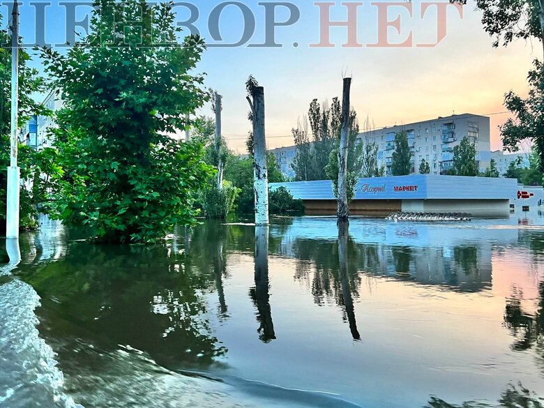 Поки не зійшла вода. Як виживають люди у затопленій частині Херсону 15