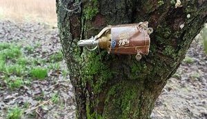 розтяжка