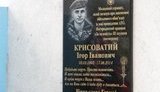 крисоватый крысоватый