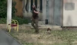 в одесі бусифікували собаку