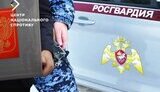 росгвардія,цнс