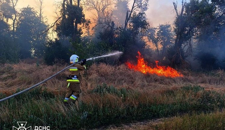 Over past day, russia attacked Mykolaiv region with drones: truck driver was killed and three people were injured