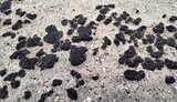 Розлив мазуту в Керченській протоці: у Севастополі ввели режим НС