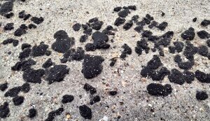 Fuel oil from Russian tankers reached shores of Odesa region. PHOTO
