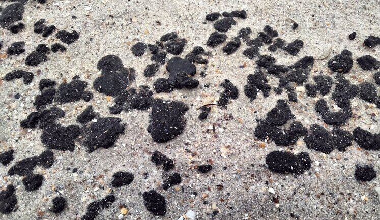 Fuel oil from Russian tankers reached shores of Odesa region. PHOTO