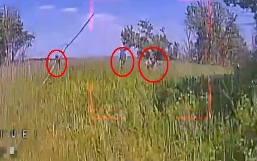 Дрони-ждуни сидять у траві, вичікують та нищать окупантів поблизу Кругляківки на Харківщині. ВIДЕО