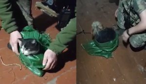 Кота та собаку евакуювали безпілотником бійці 14-ї ОМБр із зони бойових дій: "Буде наш. На дронах, кажи, я ще не літав". ВIДЕО