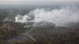 Число жертв пожаров в Луганской области увеличилось до 11 человек, - Офис генпрокурора
