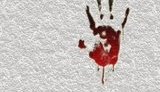 Тіла двох хлопчиків 7-ми та 9-ти років поруч із трупом їхньої матері з пакетом на голові виявили на Херсонщині, - поліція