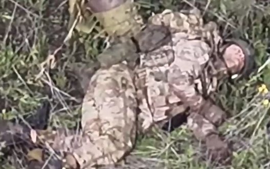 Росіянин додихає у високій траві після атаки українського дрона. ВIДЕО