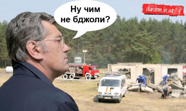 Ну чим не бджоли?