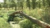 На Луганщине украли два километра канализационных труб: У нас здесь теперь озеро глубиной 20 метров и мух - море. + ВИДЕО