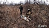 ракета,овод,знищення