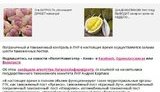 таможня террористы оккупанты