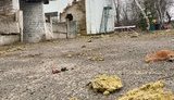 Представники ОБСЄ документують порушення внаслідок російських обстрілів у Станиці Луганській. ФОТО