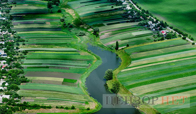 Кабмин увеличил финподдержку для новосозданных фермерских хозяйств до 5 тыс. грн на 1 га
