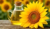 олія,соняшник