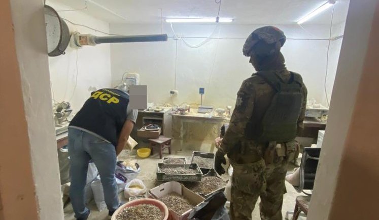 Злочинну групу, яка налагодила переробку бурштину та відправку його в ОАЕ, ліквідовано на Волині, - Нацполіція. ФОТОрепортаж