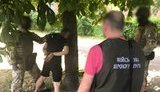 Бывший военнослужащий задержан в Миргороде при продаже гранат и тротила, - военная прокуратура. ФОТО